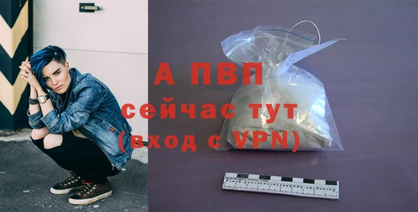 apvp Бородино