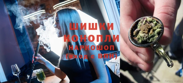 apvp Бородино