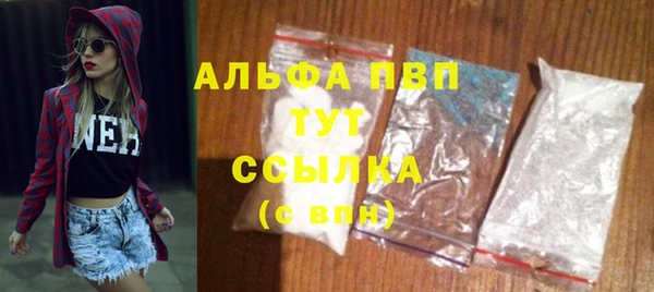 apvp Бородино