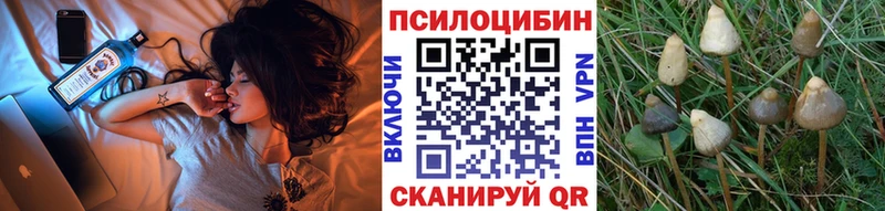 Галлюциногенные грибы GOLDEN TEACHER  мега вход  Кола 